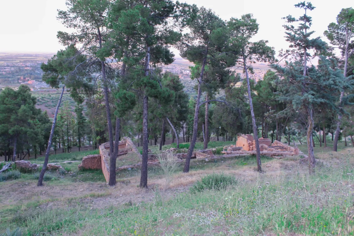 Discover the tranquil beauty of Tizighoran Forest, a hidden gem just 2km from Amizmiz. Experience panoramic views, pine forests, and the perfect escape from city life all year round.