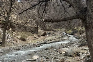 Amizmiz trekking companies