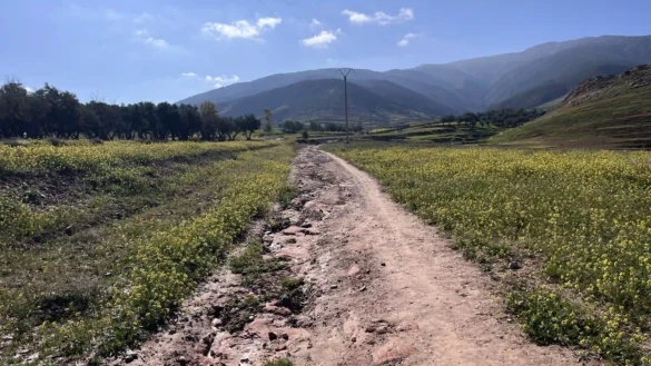 hiking near Marrakech day trip Half-Day or Full-Day Hike in Amizmiz — With Lunch