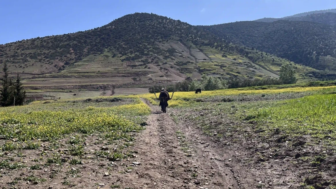 hiking near Marrakech day trip
