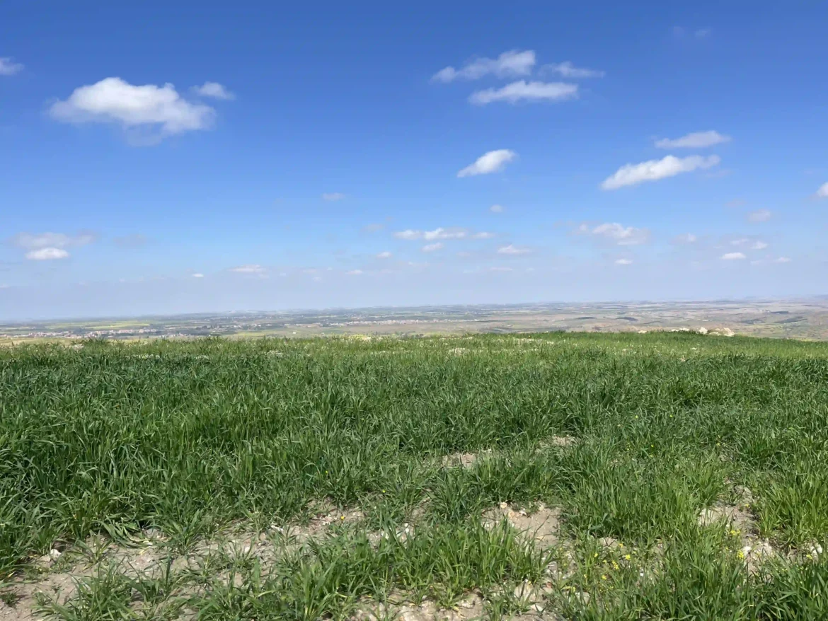 hiking near Marrakech day trip