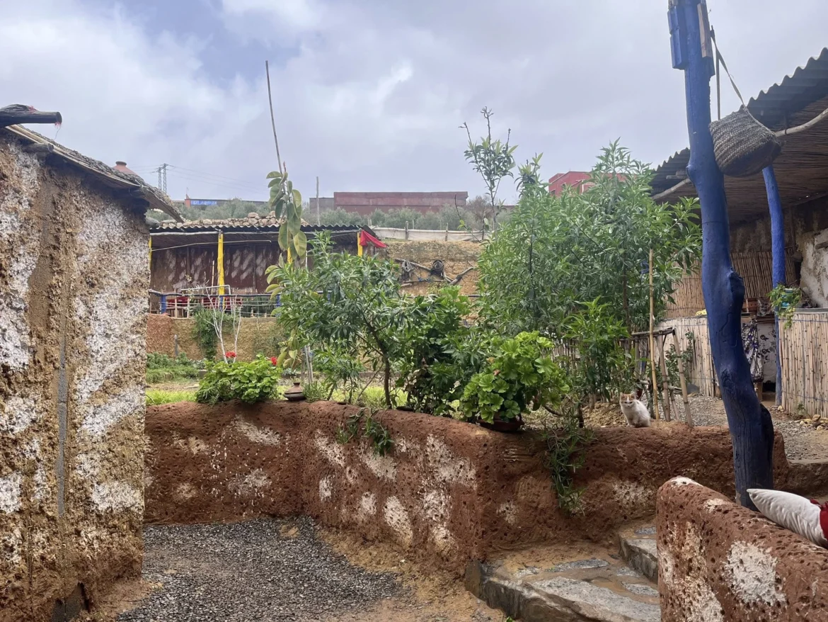 Inside a Real Berber Women's Cooperative in the Atlas Mountains